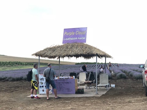 Purple Cloud Natural Lavender Oil