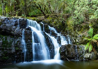 Tourism Cairns