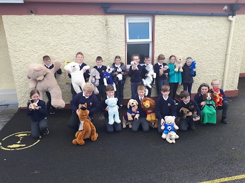 Ballinacarrow National School