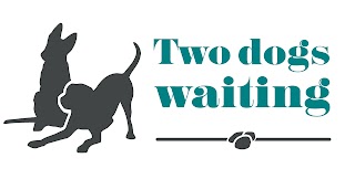 Two Dogs Waiting