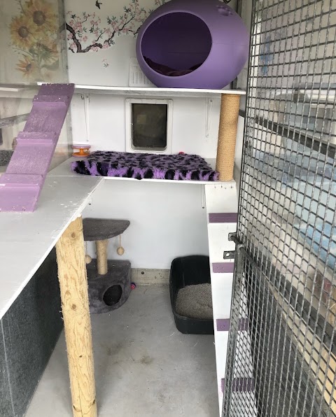 Rose’s Cat Hotel