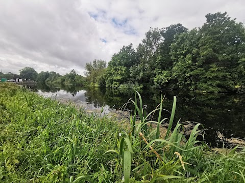 Bagenalstown Swimming Club