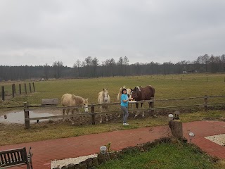 Agroturystyka Stajnia Dżygitowka