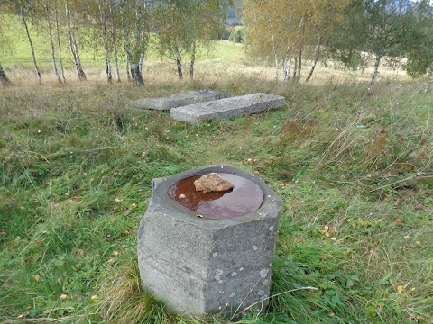 Kamienny krąg w Radzimowicach
