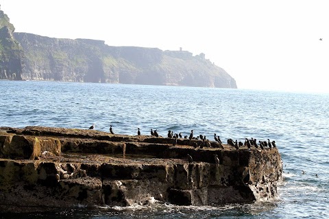 Cliffs of Moher Cruises