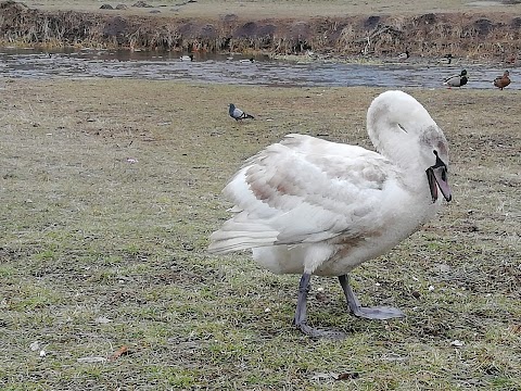 Християнська база, УГКЦ