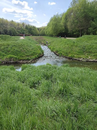 Park Tysiąclecia we Wrocławiu