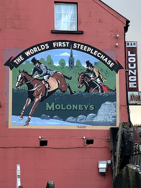 Moloney's Bar Lounge