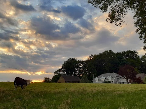 Inveraray Farm