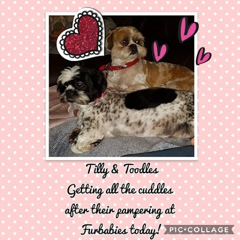 Furbabies Dog Grooming