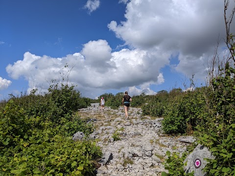 Holy Well