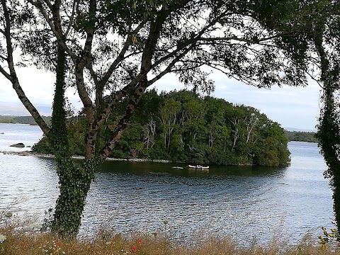 The Lake House