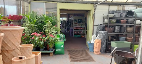 Mulveys Garden Centre