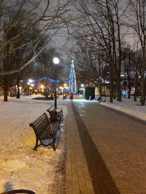 Спасо-Преображенська церква УПЦ