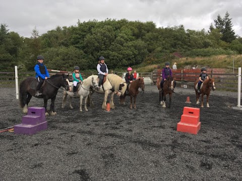 Bantry Bay Pony Trekking