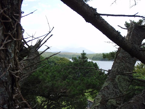 Clifden Monastery Walled Garden