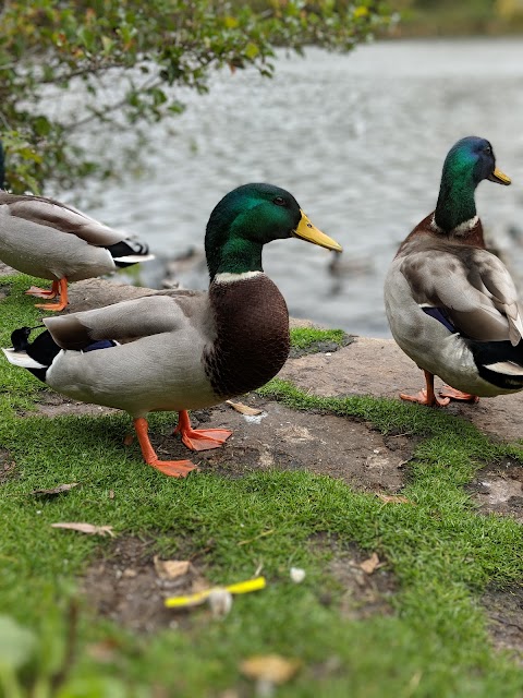 Marlfield Lake