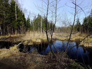 Dolina strumienia Skrobacynka