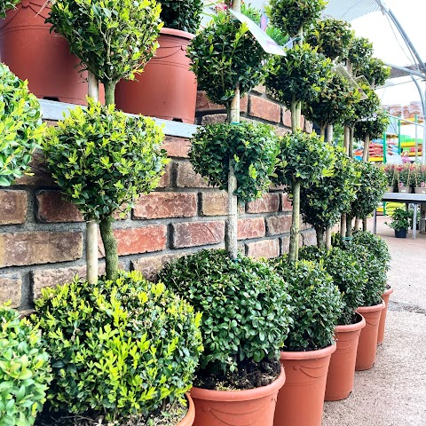 Ballinasloe Garden Centre