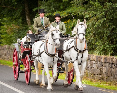 Sean Kilkenny Carriages, Trekking and Equine Services (thejarveyman)