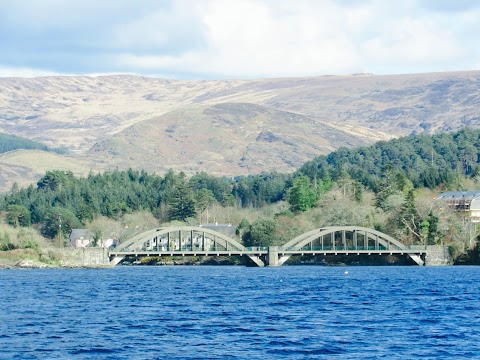 Kenmare Bay Boat Tours