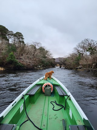 Killarney Day Tour