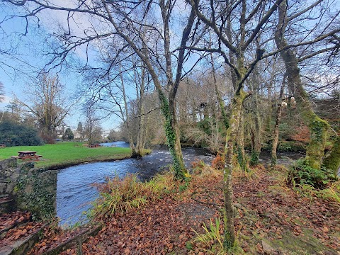 Oughterard Shrubbery