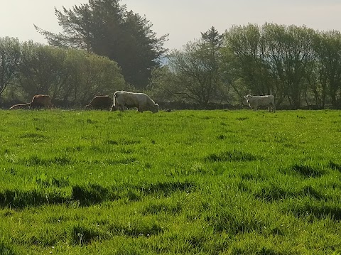 The Old Thatched Cottage