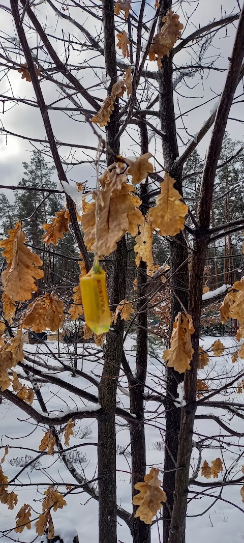 Скит Святой Троицы