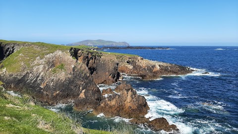 Blasket Islands Eco Marine Tours