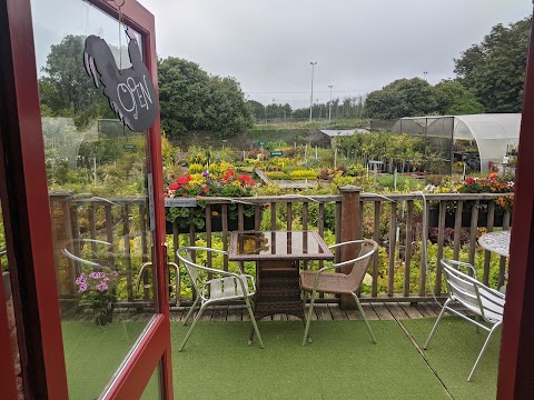 Dangan House Garden Centre Tea Rooms