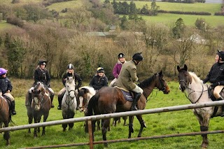 Nenagh Equestrian Centre