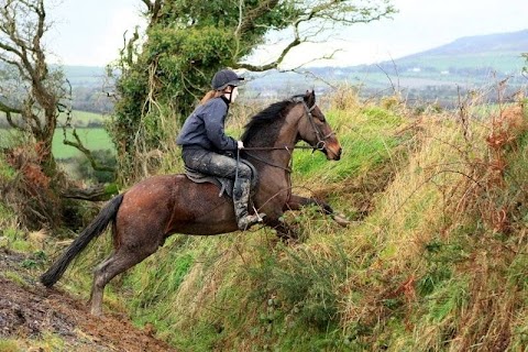 Valley View Equestrian Centre