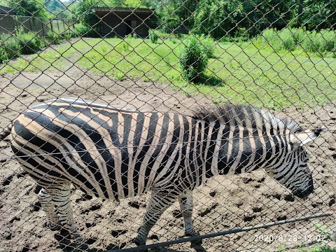 Ogród Zoologiczny w Bydgoszczy