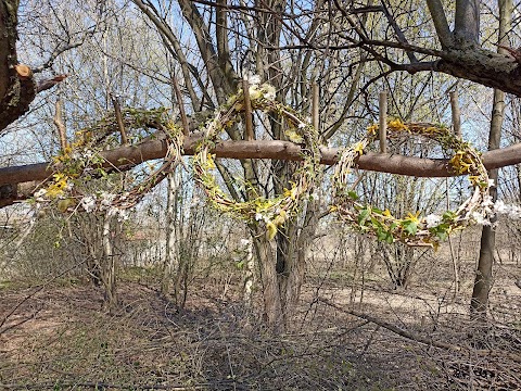 Rodzinne Ogrody - Przestrzeń Dzikich Odkrywców