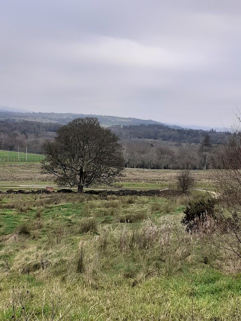 Sligo Regional Park