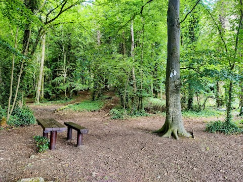 Newcastle Wood