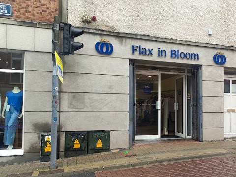 Flax in Bloom