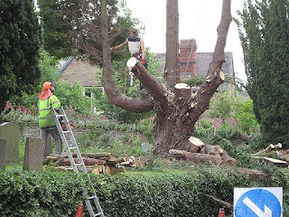 Aldridge Gardening, Firewood and DIY Cavan