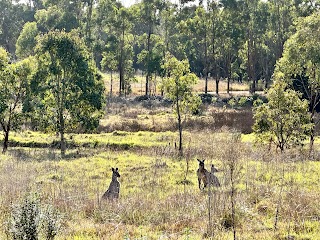 The Dairy, Western Sydney Parklands