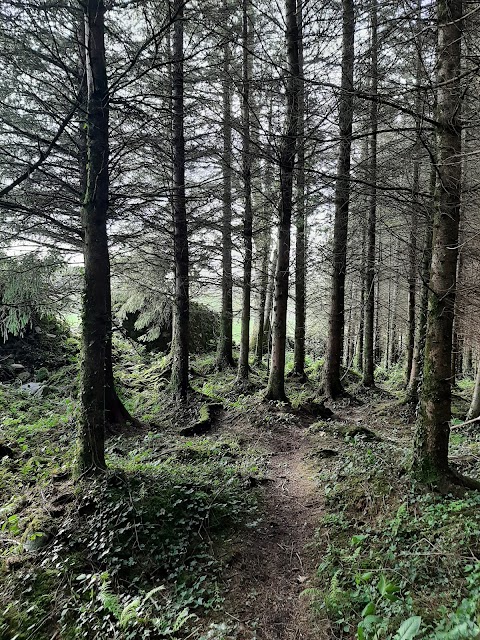 Warrenscourt Forest Recreational Area