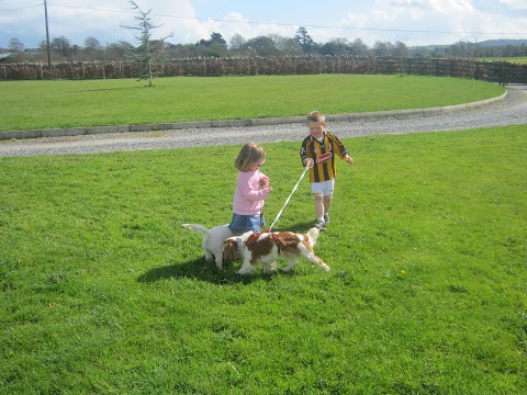 Jenkinstown Boarding Kennels