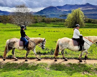 Killarney Riding Stables