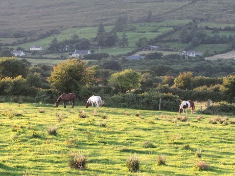 Tom and Eileen's Farmhouse B&B