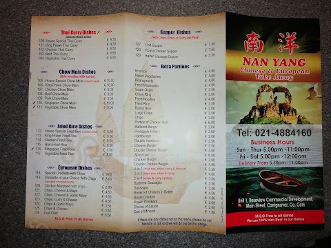 Nan Yang Chinese and European takeaway