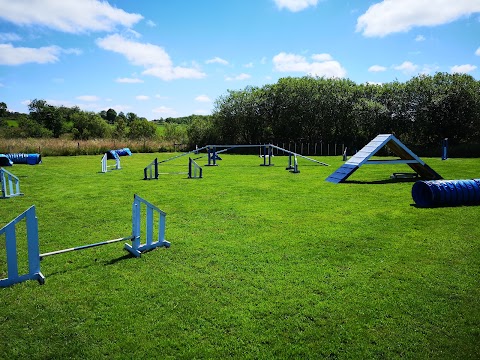 Run As One Dog Agility Club