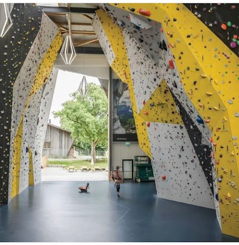 Basement Climbing Gym