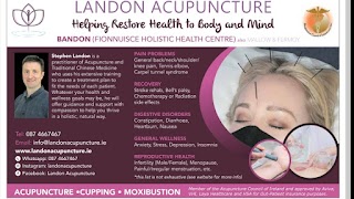 Landon Acupuncture in Fermoy