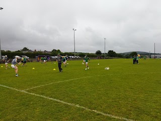 Newport GAA Club