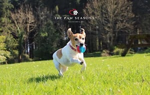 The Paw Seasons Dog Resort & Spa